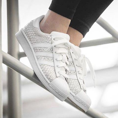 adidas superstar dentelle